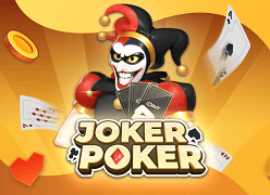 Joker Poker