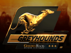 Dog 6 H.Odds