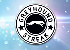 Greyhound streak