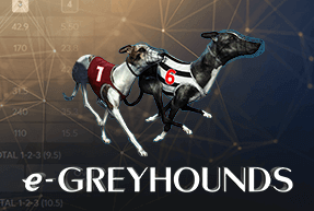 Greyhound